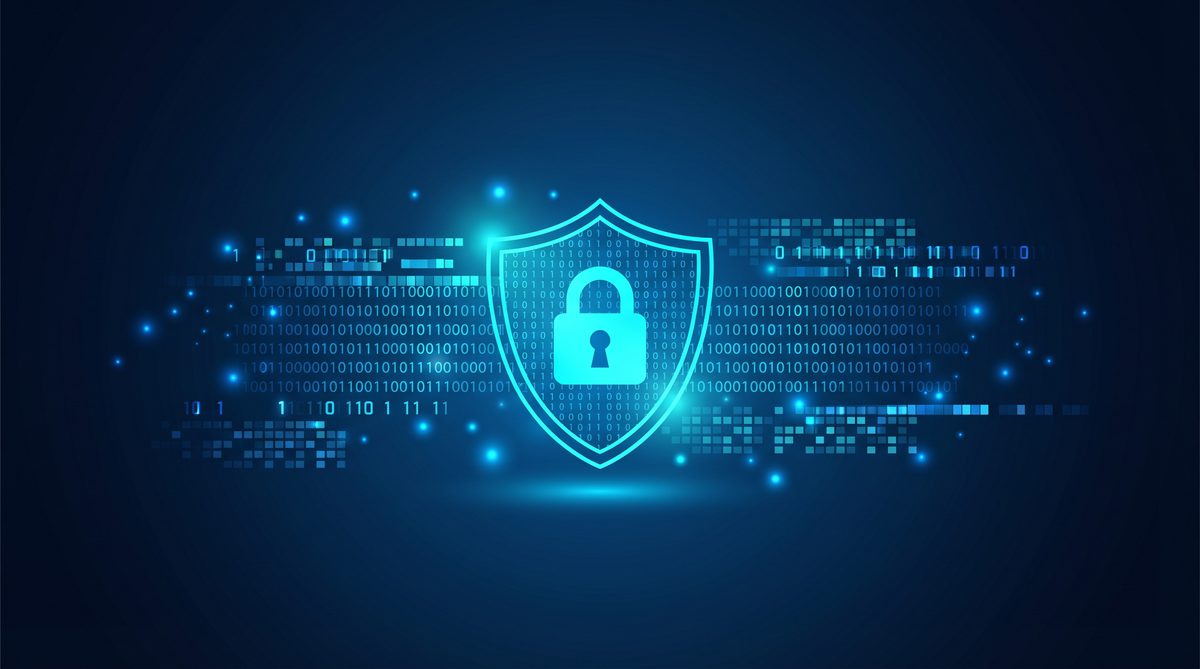 顺猫加速器隐私安全保护